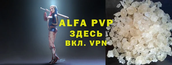 стаф Вяземский