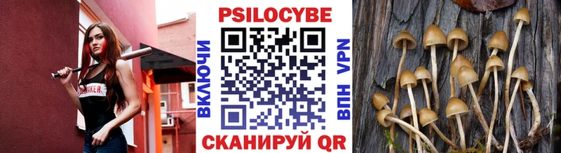 Псилоцибиновые грибы Psilocybine cubensis  блэк спрут онион  Дивногорск 